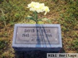 David Willard Bush