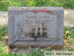 Tela Bridges