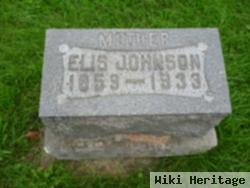 Elis Gustafson Johnson