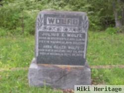 Julius Wolfe