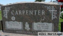 David L Carpenter