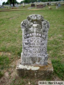 Charles W. Woolard