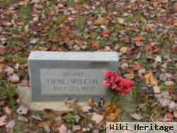 Opal Wilcox