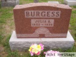 Julia Ann Hoar Burgess