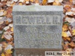 Newell H. Snow