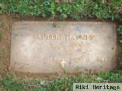 Salter Haynes