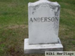 Nestor Anderson