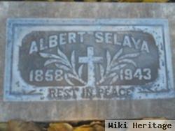 Albert Selaya