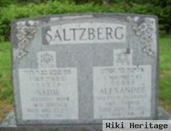 Alexander Saltzburg Saltzberg