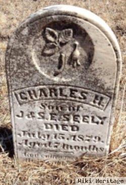 Charles H Seely