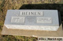 David J. Heinen