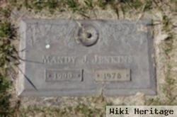 Mandy J. Jenkins