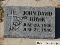 John David Hovik