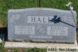 Harold E Hall