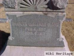 Judge Charles Clelland Bland