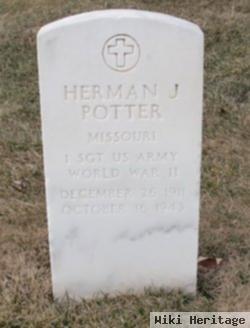 Herman J Potter