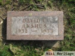 David C. Anshus