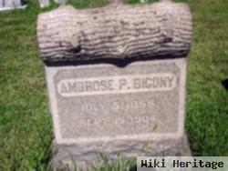 Ambrose P. Bigony