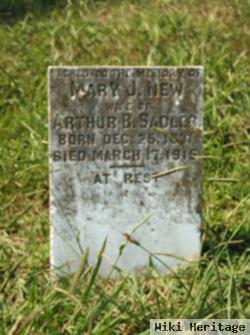 Mary J. New Sadler