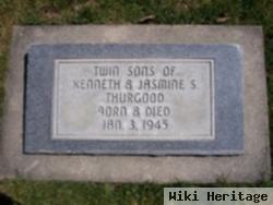 Twin Sons / Thurgood