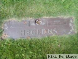 Andrew Hegedus