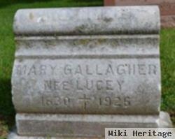 Mary Lucey Gallagher