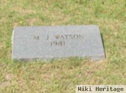 M J Watson