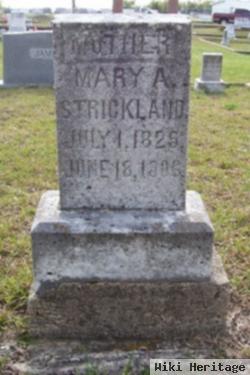 Mary Amanda Mclarty Strickland