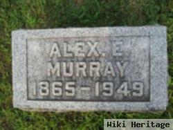 Alexander E Murray