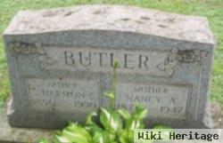 Nancy A Miller Butler