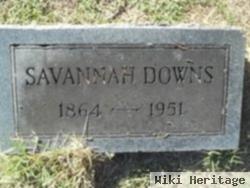 Susan A Savannah Hibbard Downs