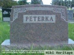 Ella Agnes Zemlicka Peterka