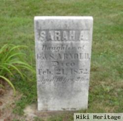 Sarah A Arnold