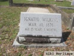 Ignacio John Wilkins