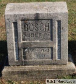 Hubert E Bosch