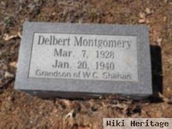 Delbert Montgomery