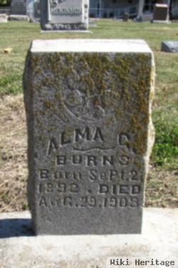 Alma G. Burns