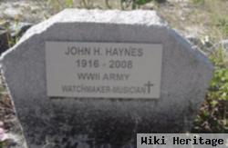 John H Haynes