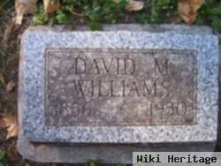 Davidson Monroe "david" Williams