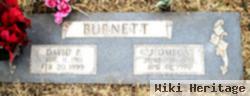 David Pierpoint Burnett