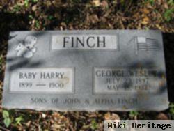 Harry Finch