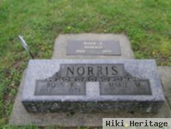 Ross R. Norris