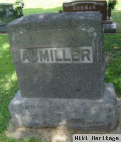 Nancy Jane "nannie" Wolfe Aumiller