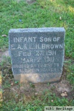 Infant Brown