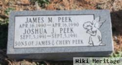 Joshua J Peek