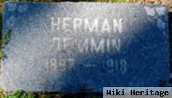 Herman Demmin