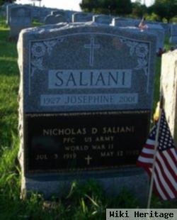 Nicholas D. Saliani