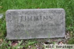 James Edward Timmins