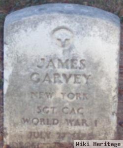 Sgt James Garvey