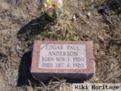 Edgar Paul Anderson